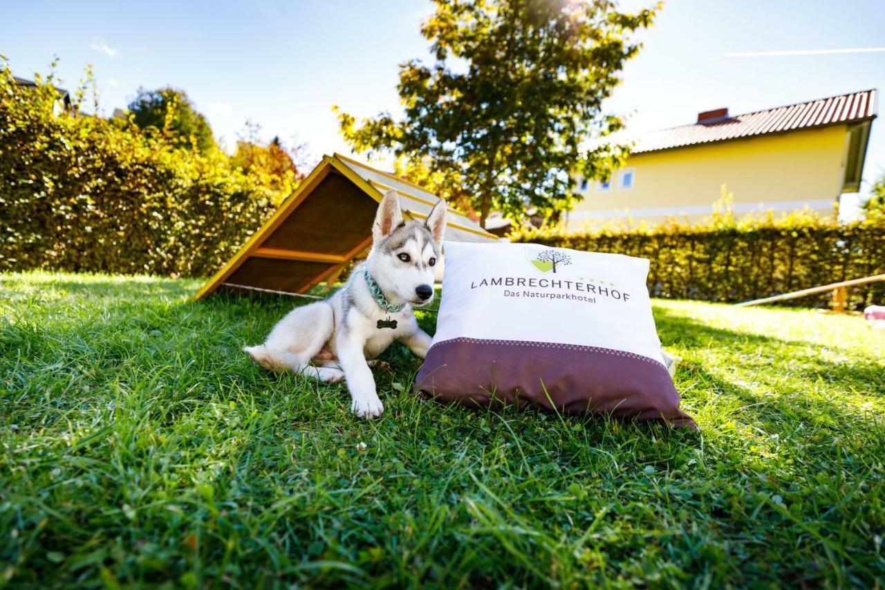 Lambrechterhof - Das Naturparkhotel Санкт Ламбрехт Екстериор снимка